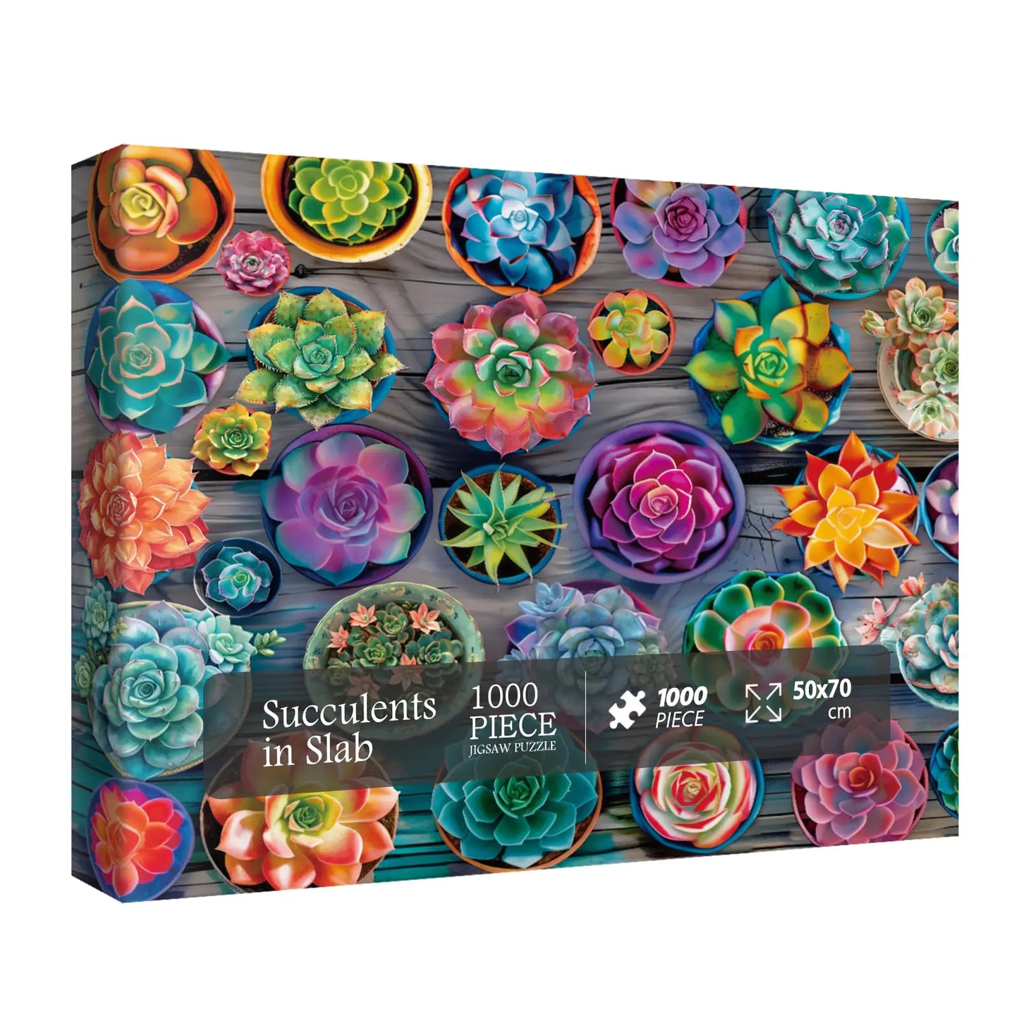 Colorful Succulent Plant Puzzles for Adults 1000