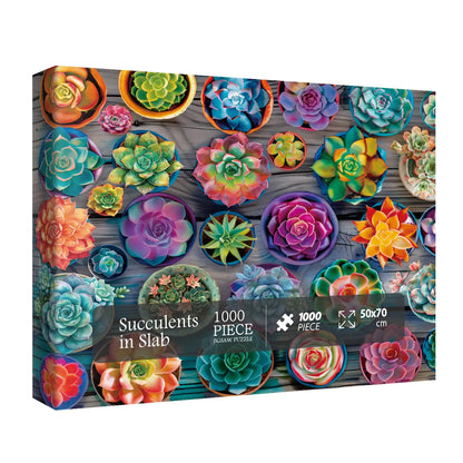 Colorful Succulent Plant Puzzles for Adults 1000